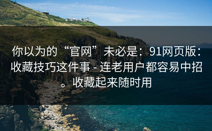 你以为的“官网”未必是：91网页版：收藏技巧这件事 - 连老用户都容易中招。收藏起来随时用