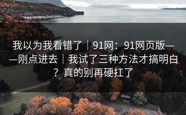 我以为我看错了｜91网：91网页版——刚点进去｜我试了三种方法才搞明白？真的别再硬扛了